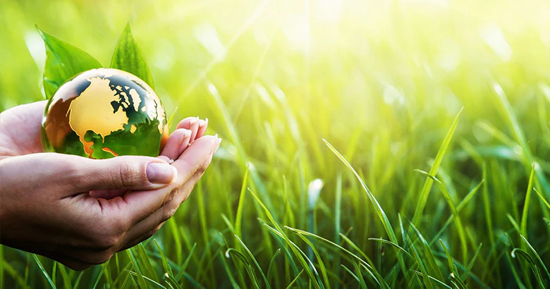 Une démarche écologique et responsable